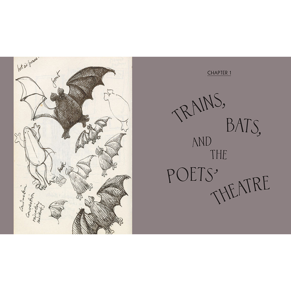 Theatrical Adventures of Edward Gorey: Rare Drawings, Scripts, and Stories Book